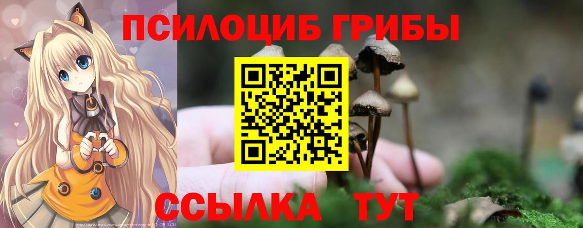цены   Галлюциногенные грибы Psilocybe  Вход с VPN  Курчалой 