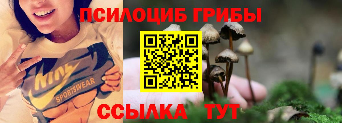 Галлюциногенные грибы MAGIC MUSHROOMS Курчалой