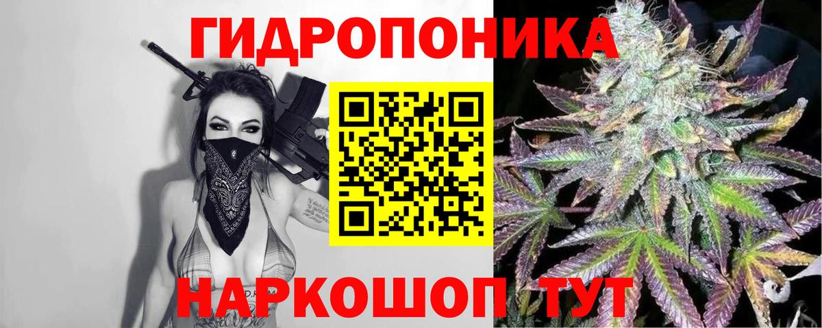 Канабис THC 21% Курчалой