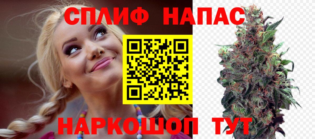 Бошки марихуана конопля  Вход с VPN  Курчалой  Марихуана Bruce Banner  Бошки марихуана Amnesia 